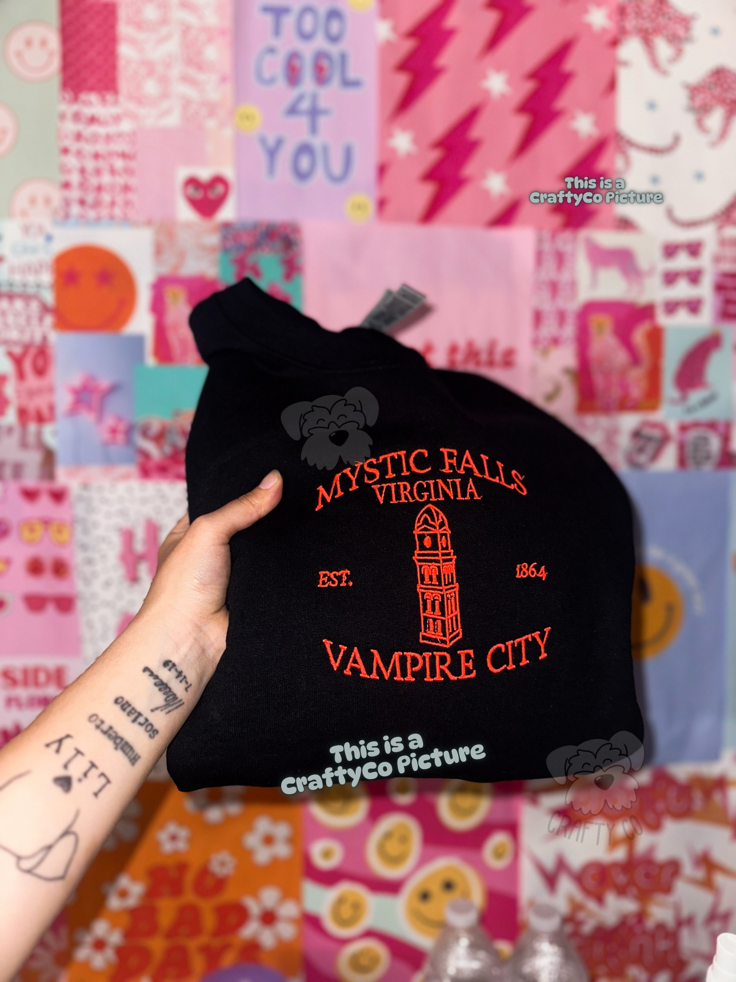 Mystic falls embroidered crewneck