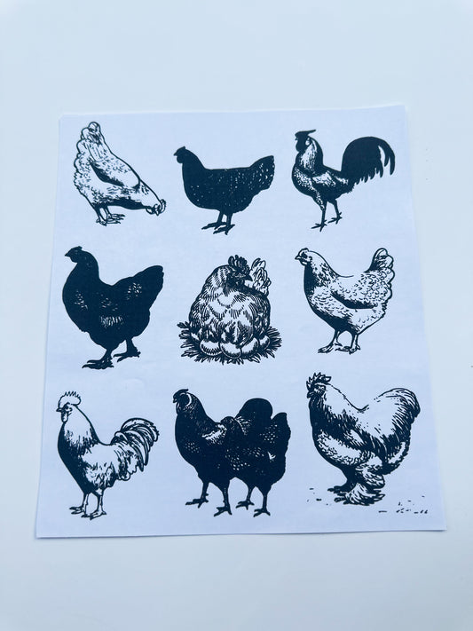 Chicken black ink transfer