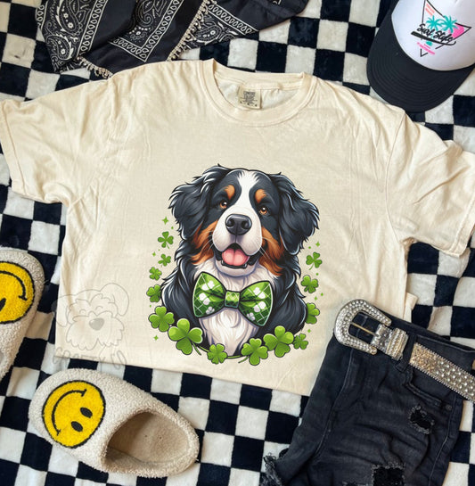 Bernese T-shirt