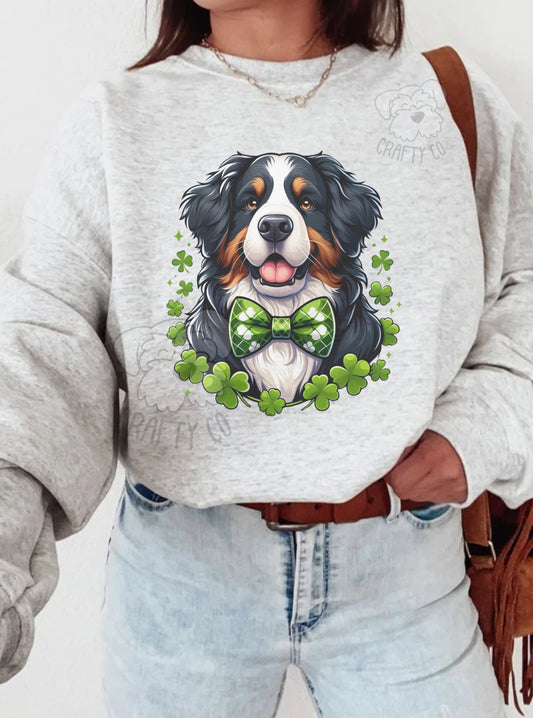 Bernese Crewneck