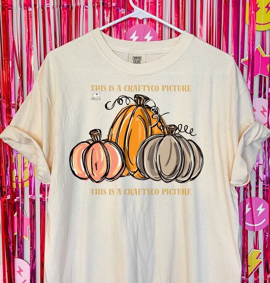 Pumpkins fall T-shirt